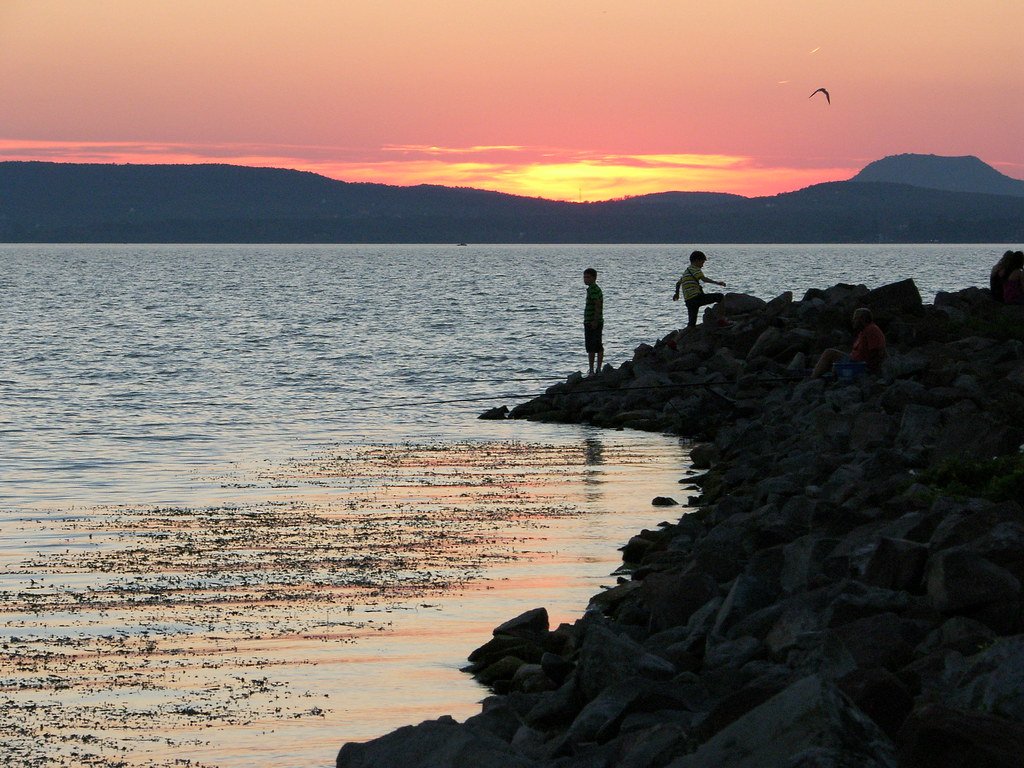 27db00d2 b086 457b b49e 9c63bdad0874