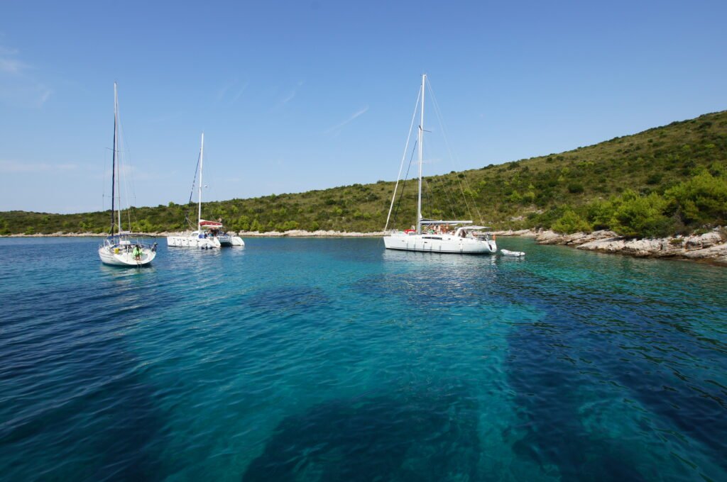 437a3ce5 29eb 431c b728 61e4fbed5907