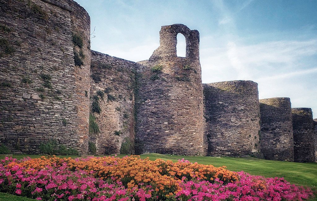 5f0d42d1 4825 4c18 b85f a72d2d738943