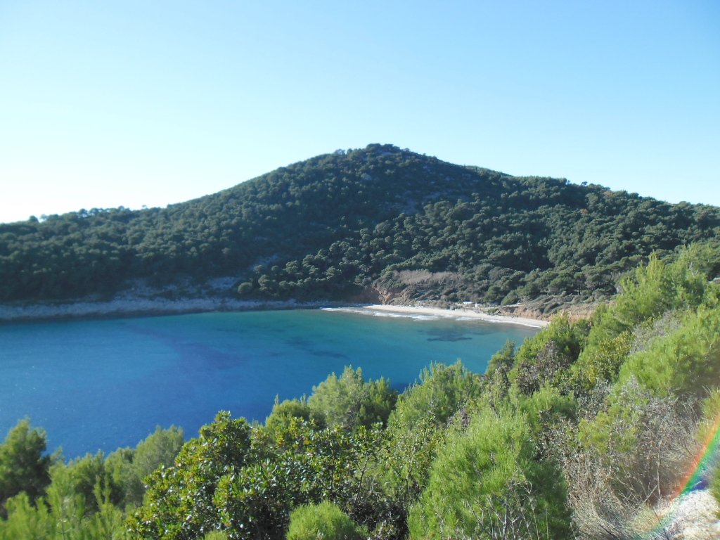 923b51ec 75b7 40d5 869c 22a720e54432